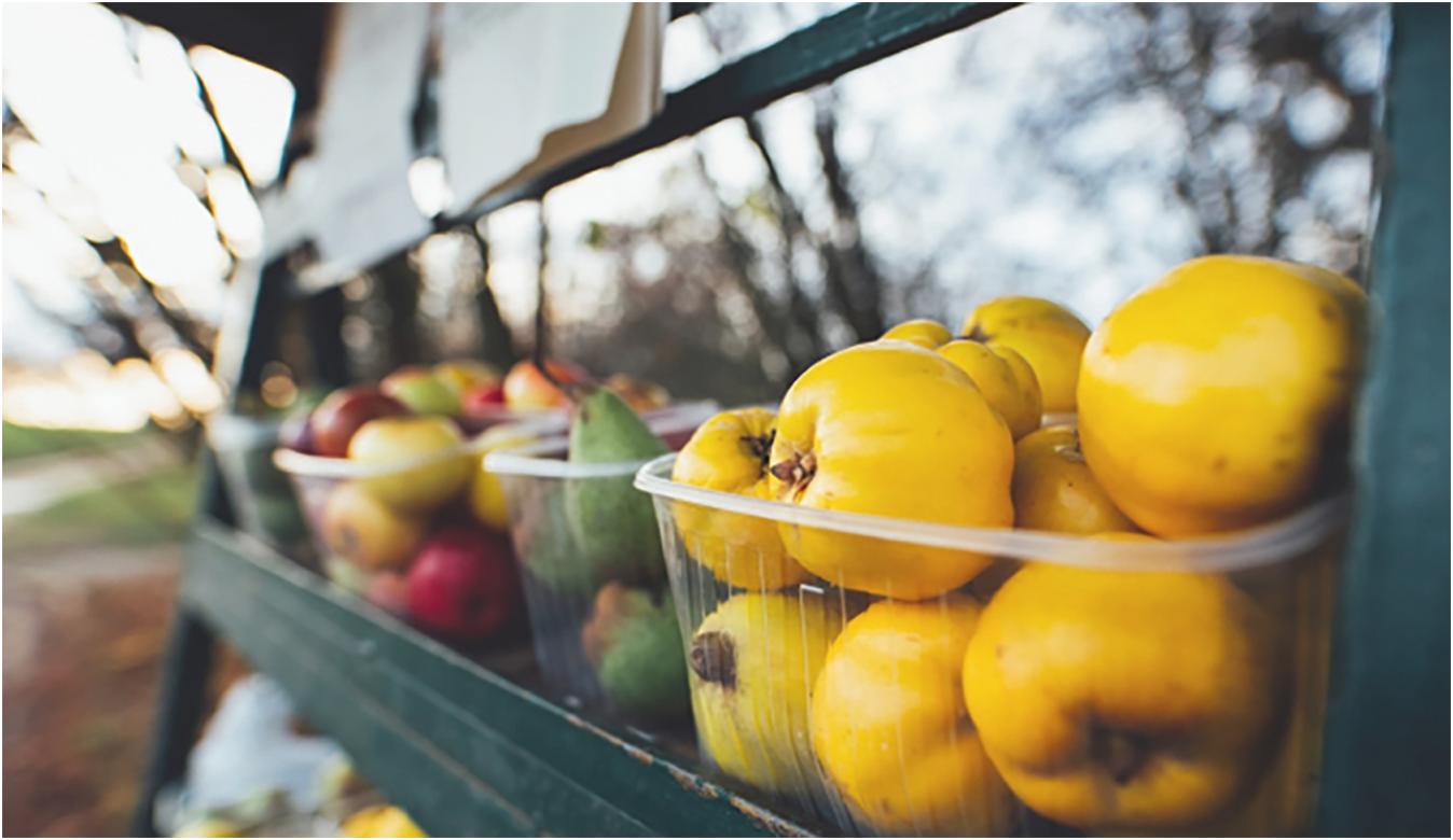fungicides for sale