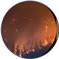  herbicides meaning